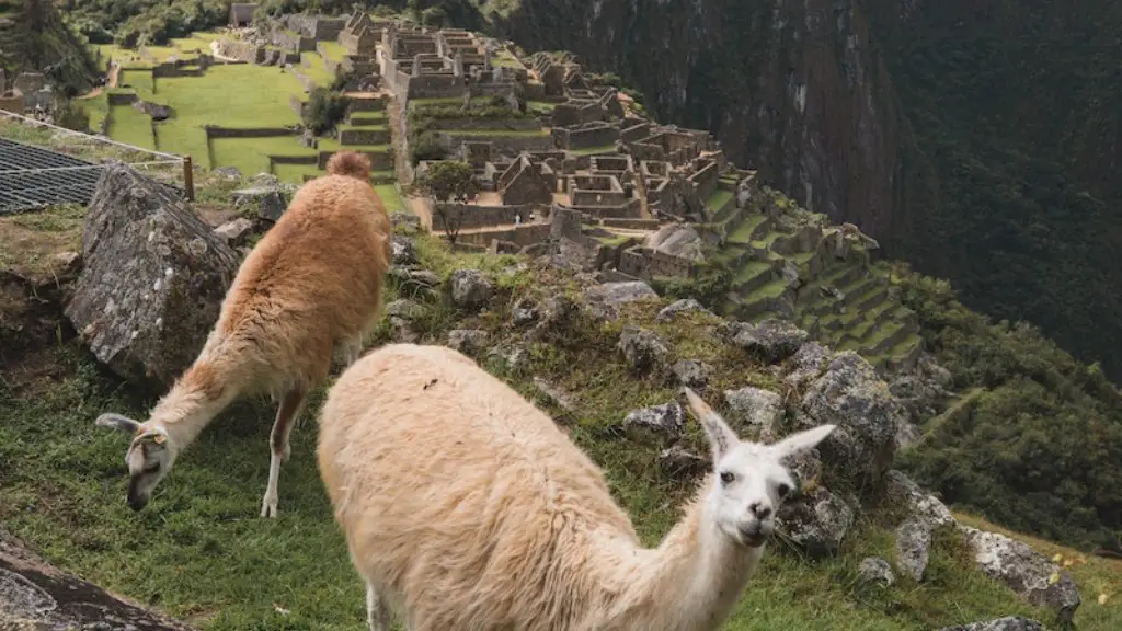 What is the weather like in machu picchu?